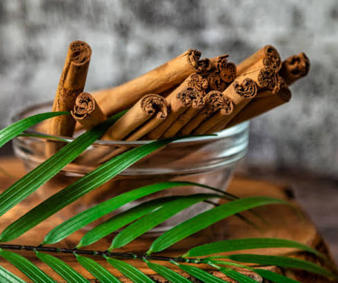 Dalchini (Cinnamon)