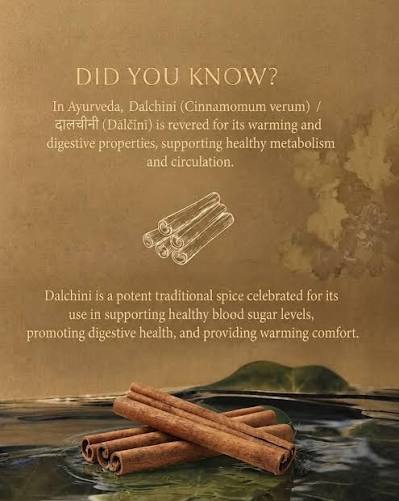 Dalchini (Cinnamon)